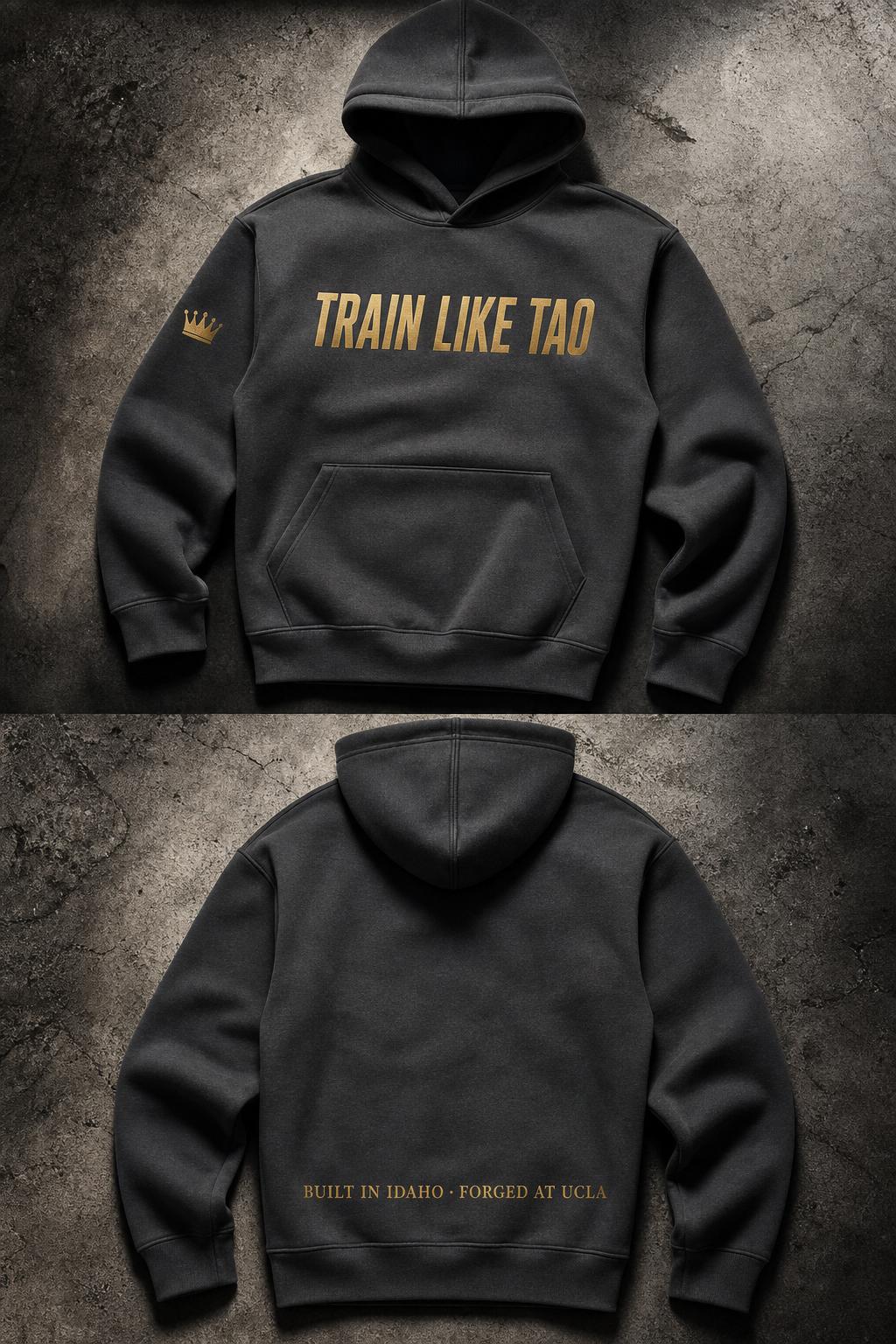Train Like Tao Hoodie